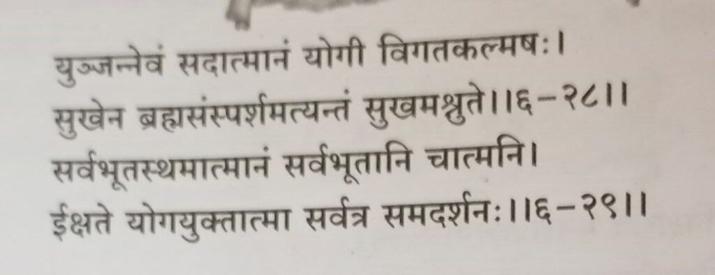 भगवद-गीता-अध्याय-6-श्लोक-28-29