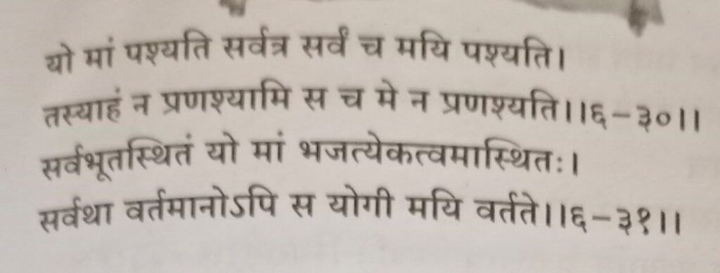 भगवद-गीता-अध्याय-6-श्लोक-30-31