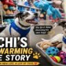 Rescue Dog Chuchi Gets His First-Ever Shopping Spree